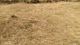 Land for sale in Nong Khwai, Chiang Mai