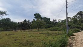 Land for sale in Tangnan, Bohol