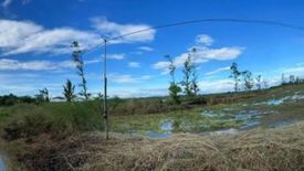 Land for sale in Mabini Extension, Nueva Ecija