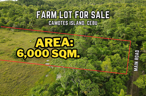 Land for sale in Esperanza, Cebu