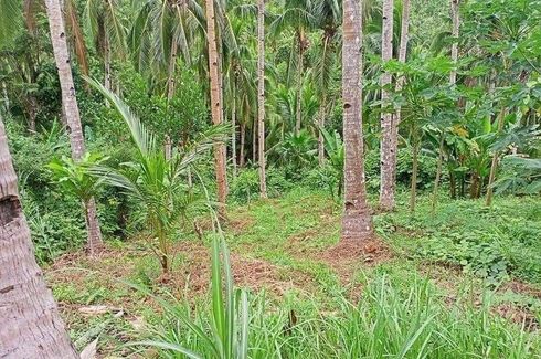 Land for sale in Calalahan, Camarines Sur