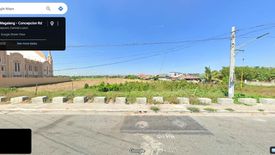 Land for sale in San Vicente, Tarlac