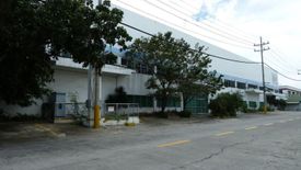 Commercial for rent in Mampalasan, Laguna