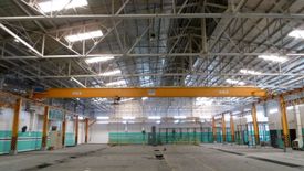 Commercial for rent in Mampalasan, Laguna