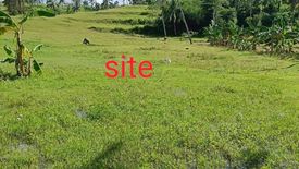 Land for sale in Kalubihan, Cebu