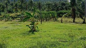 Land for sale in Kalubihan, Cebu