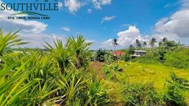 Land for sale in Santa Cruz, Cebu