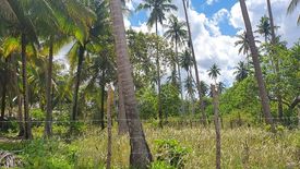 Land for sale in New Agutaya, Palawan