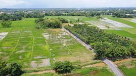 Land for sale in Pa Pong, Chiang Mai