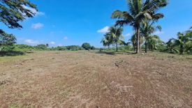 Land for sale in Batas, Cavite