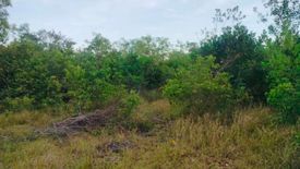 Land for sale in Danao, Bohol