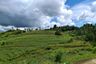 Land for sale in Salagmaya, Cebu