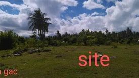 Land for sale in Basak, Cebu