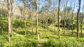 Land for sale in Choeng Thale, Phuket