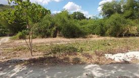 Land for sale in Anupul, Tarlac