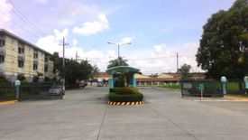 Land for rent in Pulong Santa Cruz, Laguna