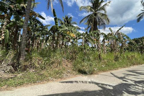 Land for sale in Pinagsanhan I A, Cavite