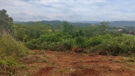 Land for sale in Bu Fai, Prachin Buri