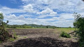 Land for sale in Pak Chong, Nakhon Ratchasima