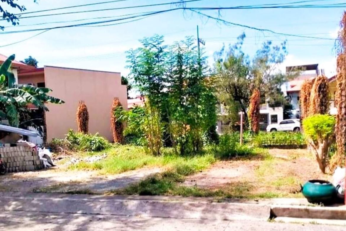 LOT FOR SALE IN MEADOWOOD EXECUTIVE VILLAGE 📌 Land for sale in Cavite