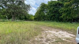 Land for sale in Nong Sarai, Nakhon Ratchasima