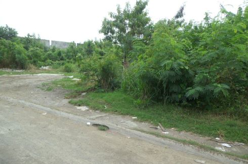 Land for rent in Pulong Santa Cruz, Laguna