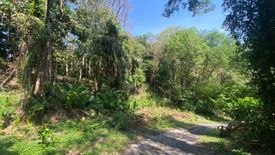 Land for sale in Karon, Phuket