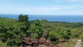 Land for sale in Canasagan, Siquijor