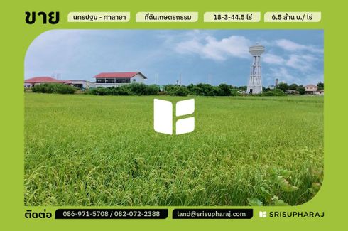 Land for sale in Bang Toei, Nakhon Pathom