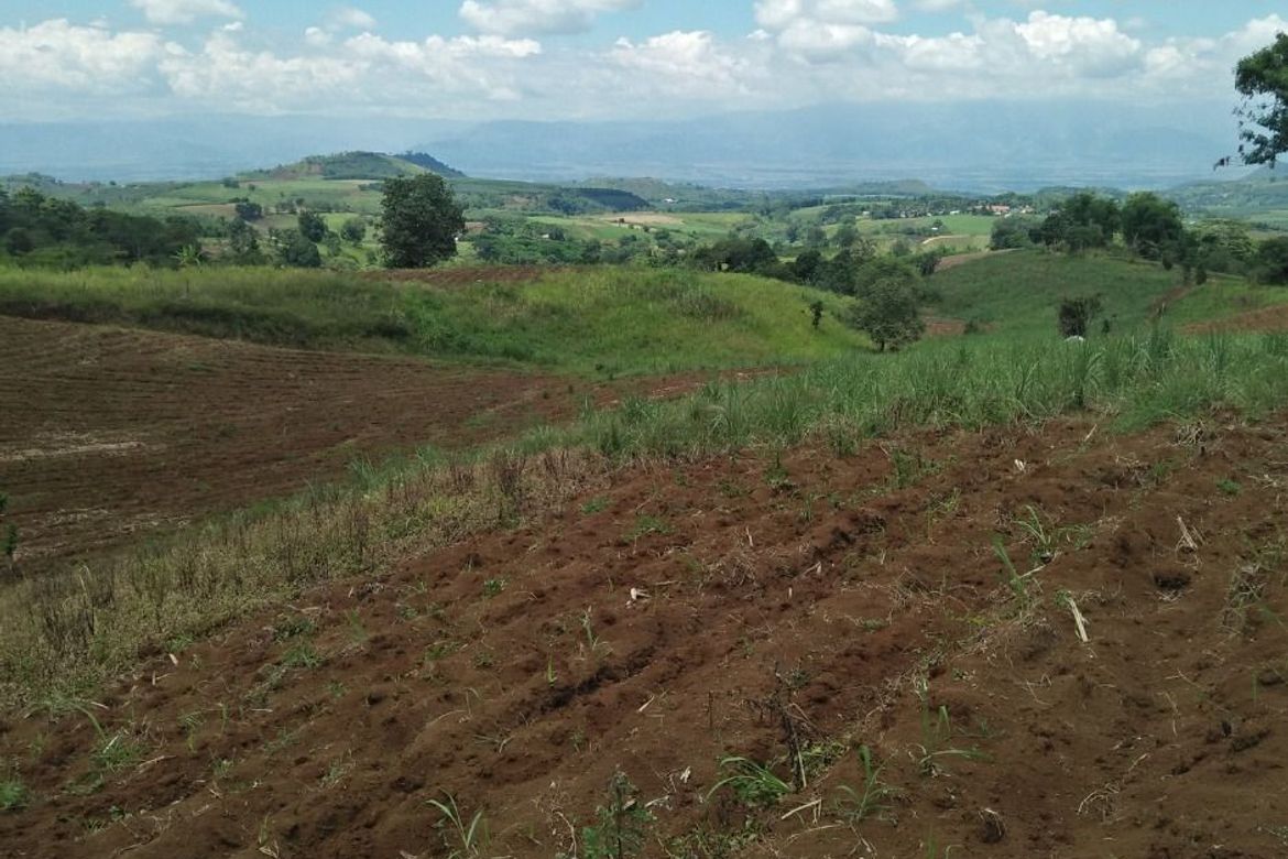 3.5 Hectare stewardship farm lot 📌 Land for sale in Bukidnon Dot Property