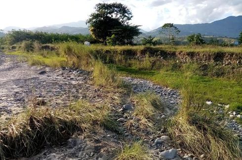 Land for sale in Santo Domingo, Nueva Vizcaya