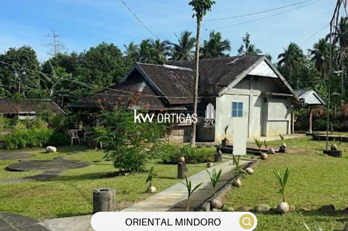 Land for sale in Poblacion IV, Oriental Mindoro