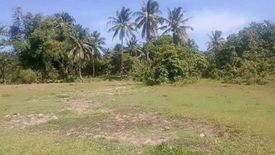 Land for sale in Poblacion, Palawan