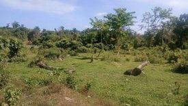 Land for sale in Poblacion, Palawan