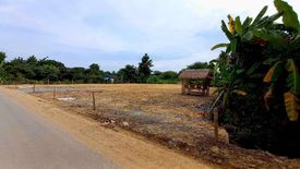 Land for sale in Khun Khong, Chiang Mai