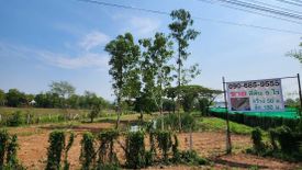Land for sale in Mu Si, Nakhon Ratchasima