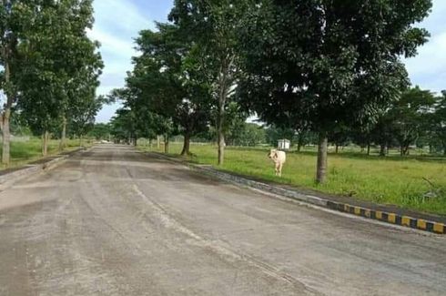 Land for sale in Coral Na Bato, Bulacan
