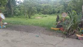 Land for sale in Miraga-Guibuangan, Iloilo