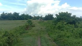 Land for sale in Miraga-Guibuangan, Iloilo