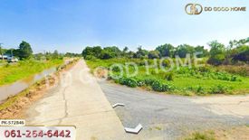 Land for sale in Pa Tan, Lopburi