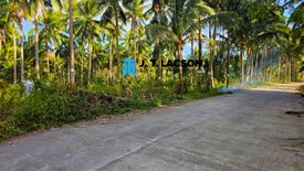 Land for sale in Buntod, Negros Oriental