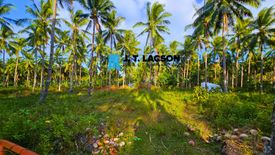 Land for sale in Buntod, Negros Oriental