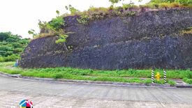 Land for sale in Guadalupe, Cebu