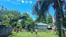 Land for sale in Chalong, Phuket