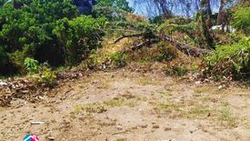 Land for sale in Talamban, Cebu