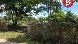 Land for sale in Pa O Don Chai, Chiang Rai