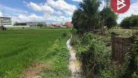 Land for sale in Pa O Don Chai, Chiang Rai