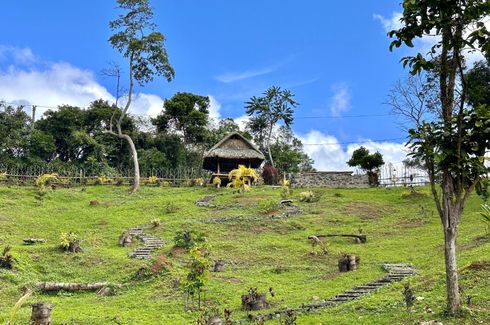 Land for sale in Mahipon, Laguna