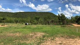 Land for sale in Si Bua Ban, Lamphun