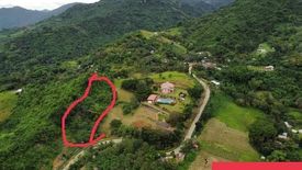 Land for sale in Bonbon, Cebu